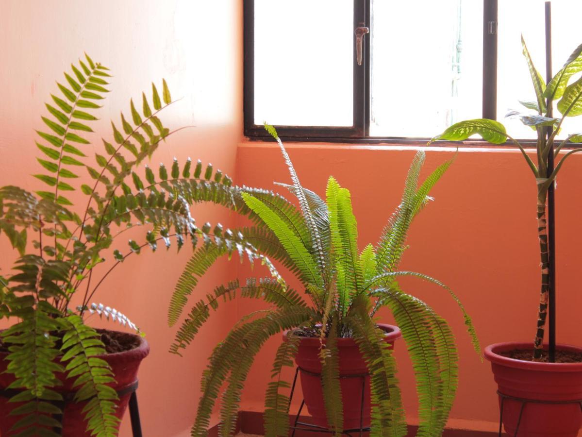 Hotel Galaxia Oaxaca Екстериор снимка